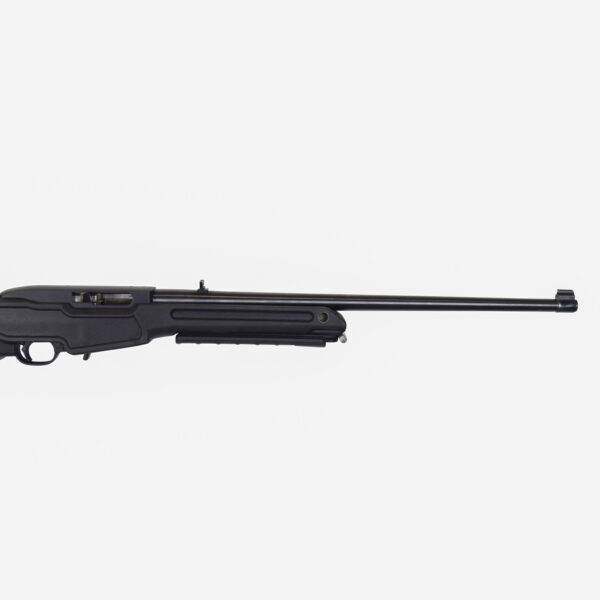 Ruger 10-22 Self-Loading Rifle